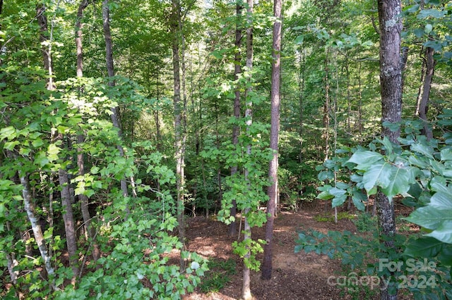 view of landscape featuring a view of trees