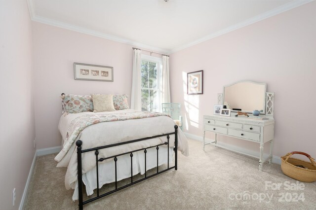 6 Larue Ct, Biltmore Lake, NC 28715 - carpeted bedroom featuring crown molding