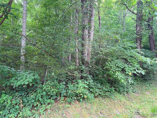 Listing photo 2 for 123 Live Oak Loop, Waynesville NC 28785