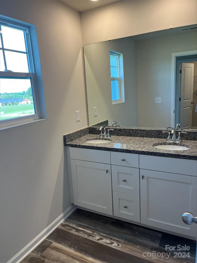 bathroom with hardwood / wood-style floors and vanity