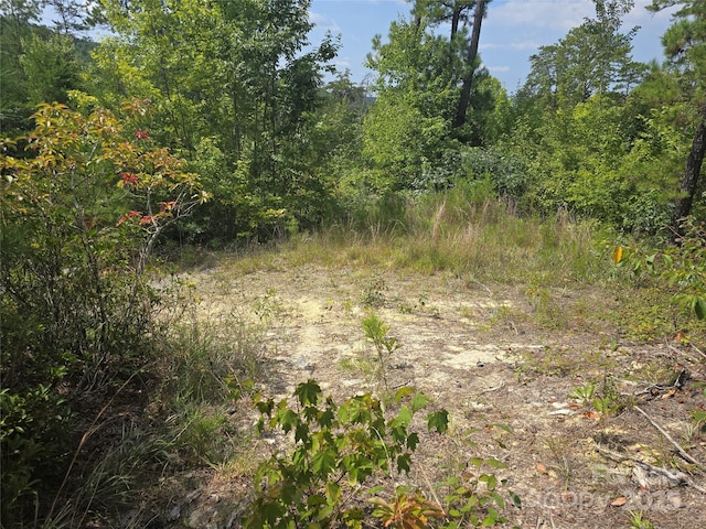 25 Round Mountain Rd, Brevard NC, 28712 land for sale