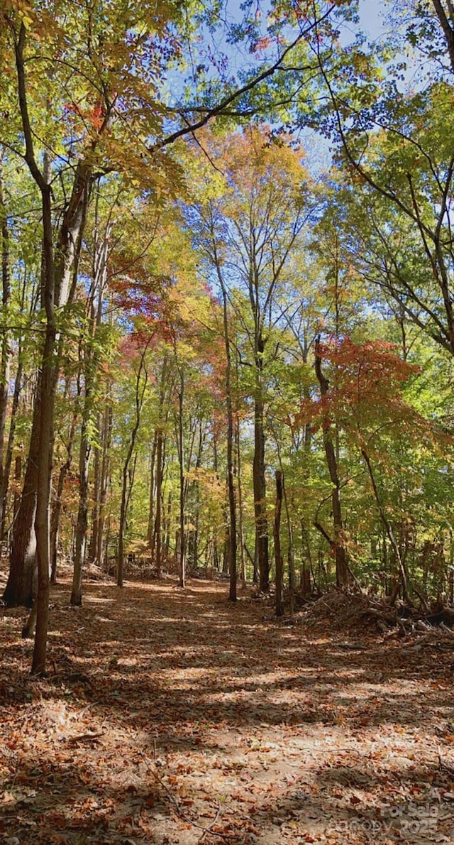 LT6 Flint Ridge Rd Unit 6, Albemarle, NC 28001