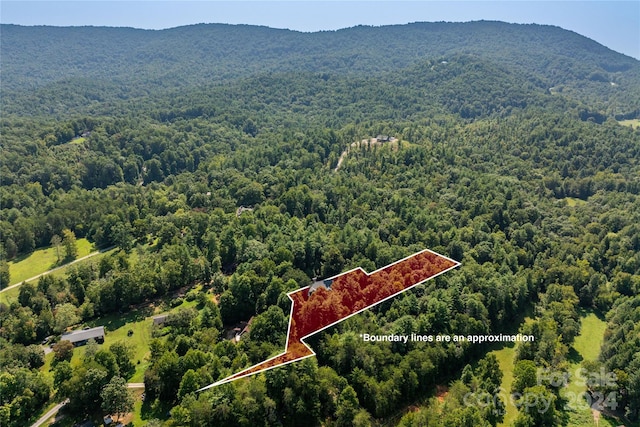 bird's eye view with a mountain view