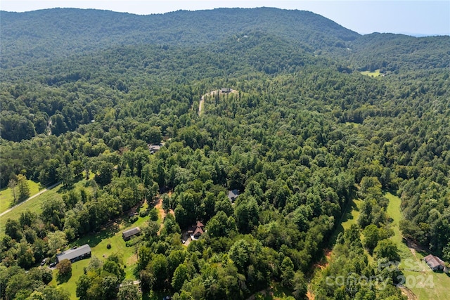 bird's eye view featuring a mountain view