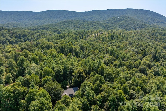 drone / aerial view with a mountain view