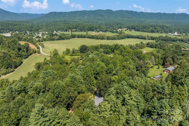 birds eye view of property with a mountain view