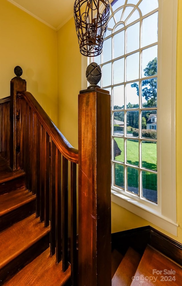 staircase with ornamental molding, a chandelier, and hardwood / wood-style flooring