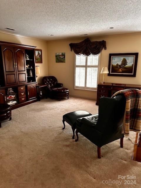 living room featuring a textured ceiling and light carpet