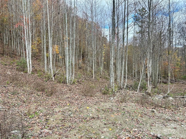 Listing photo 3 for 0 Campbell Creek Rd, Robbinsville NC 28771