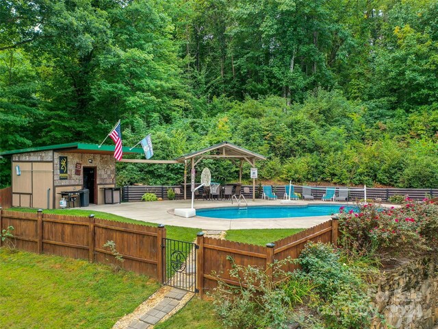 view of swimming pool with a patio