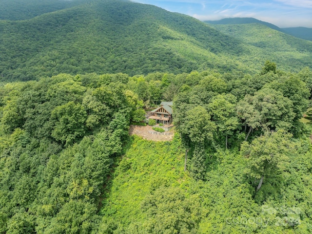 birds eye view of property featuring a mountain view