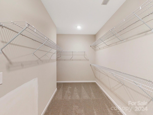 walk in closet featuring carpet floors