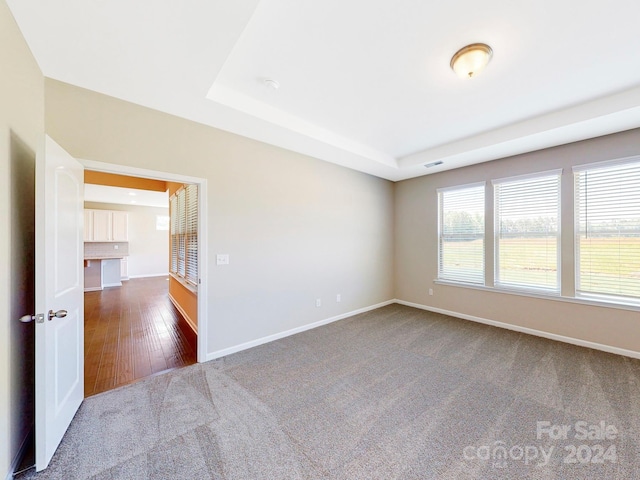 empty room with hardwood / wood-style flooring and a raised ceiling