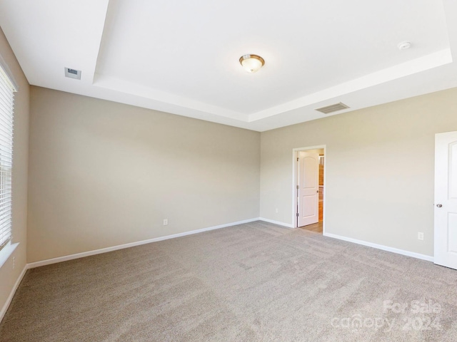 empty room with carpet and a raised ceiling