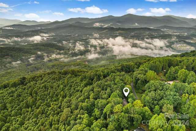 property view of mountains