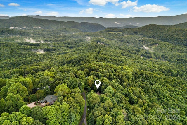 aerial view with a mountain view