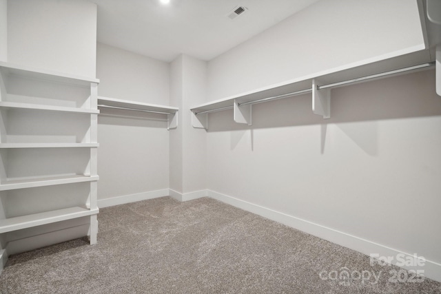 walk in closet with carpet floors