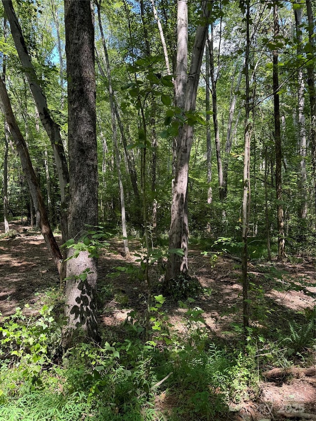TBD Fern Hill Rd, Troutman, NC 28166