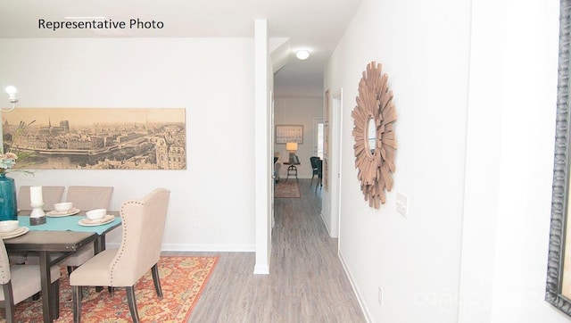 dining space with hardwood / wood-style floors