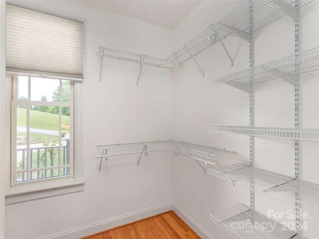 walk in closet with wood-type flooring