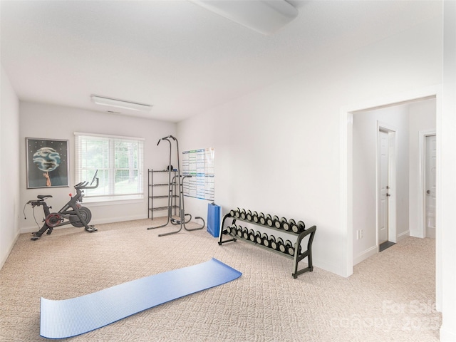 209 Velvet Ln, Weaverville, NC 28787 - exercise area with carpet