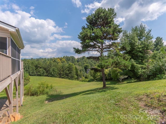 209 Velvet Ln, Weaverville, NC 28787 - view of green lawn
