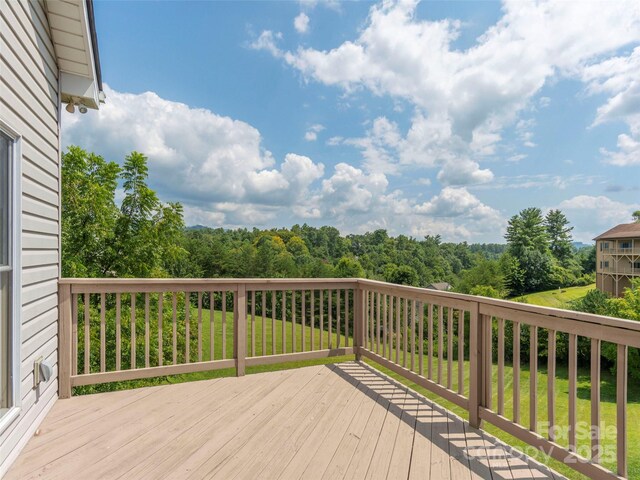 209 Velvet Ln, Weaverville, NC 28787 - photo 40