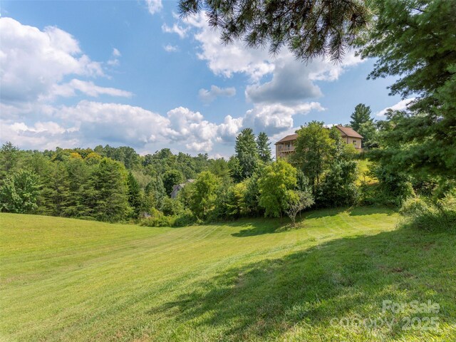 209 Velvet Ln, Weaverville, NC 28787 - photo 43