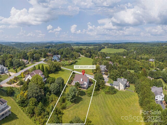 209 Velvet Ln, Weaverville, NC 28787 - photo 45