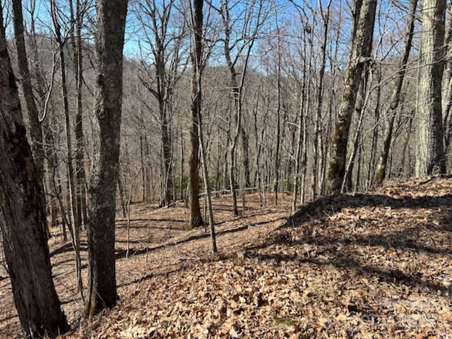 Listing photo 2 for 692 Oak Ridge Ln Unit 61-Lot-A, Mars Hill NC 28754