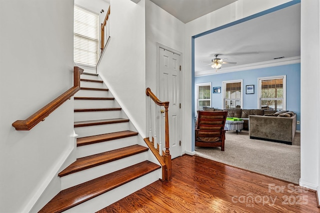 stairway with baseboards, visible vents, ceiling fan, wood finished floors, and crown molding