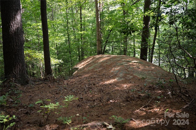 view of landscape