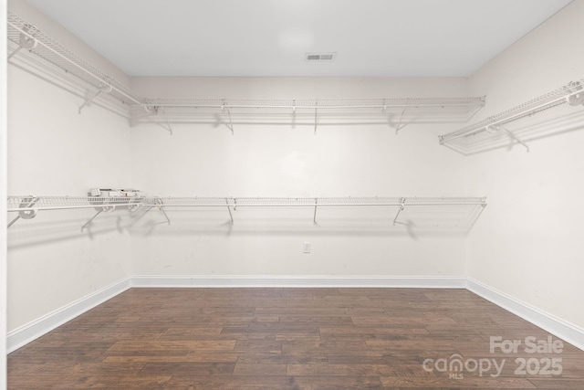 walk in closet featuring dark wood-type flooring