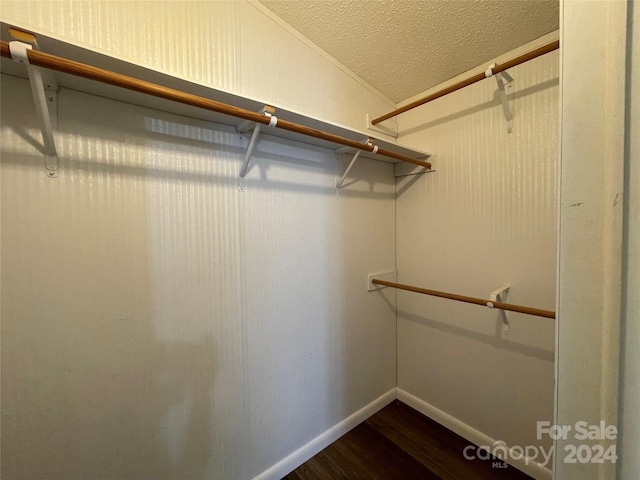 walk in closet with dark wood-style flooring