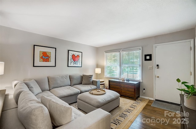 living room with hardwood / wood-style flooring