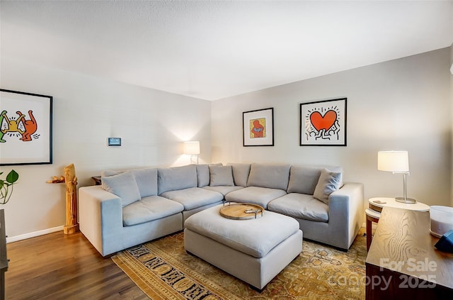 living room with wood-type flooring