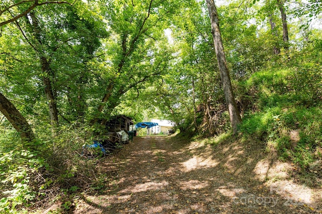 view of yard with a view of trees and an outbuilding