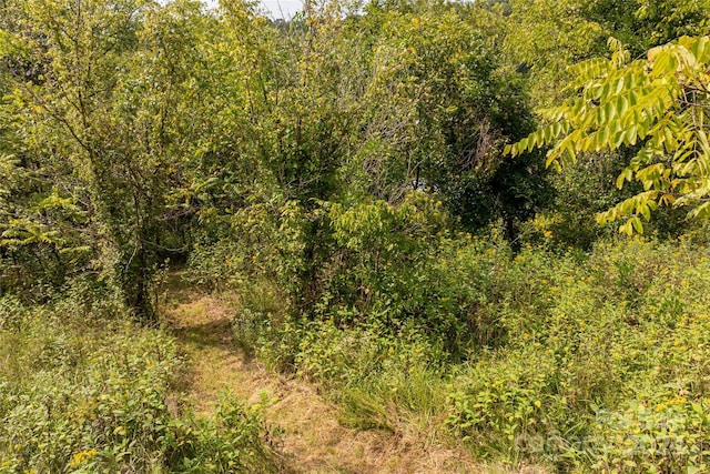 view of local wilderness with a wooded view