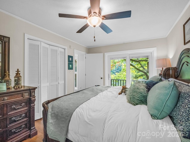 carpeted bedroom featuring a textured ceiling, crown molding, ceiling fan, and access to outside