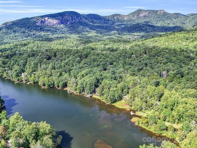 drone / aerial view featuring a water and mountain view