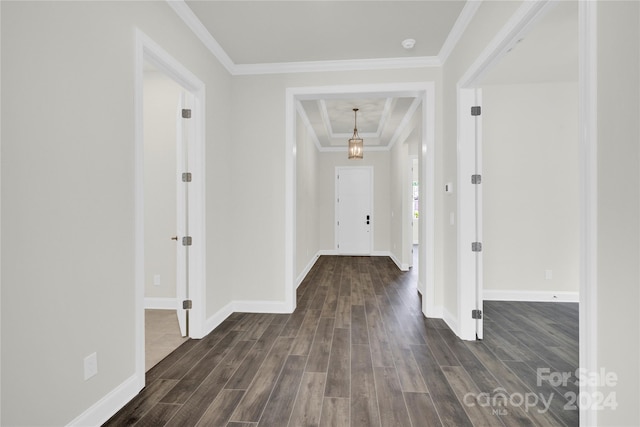 corridor with a tray ceiling, ornamental molding, and dark hardwood / wood-style floors