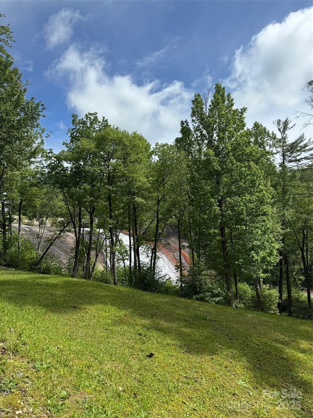 30 Lower Tanglewood Rd E Unit 1, Lake Toxaway, NC 28747 - view of green lawn