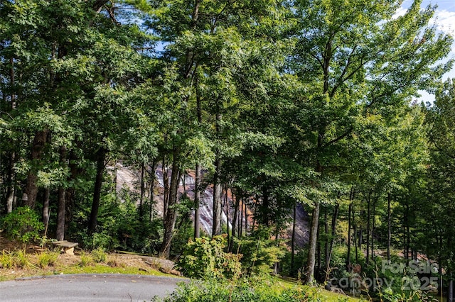 30 Lower Tanglewood Rd E Unit 1, Lake Toxaway, NC 28747 - view of undeveloped land