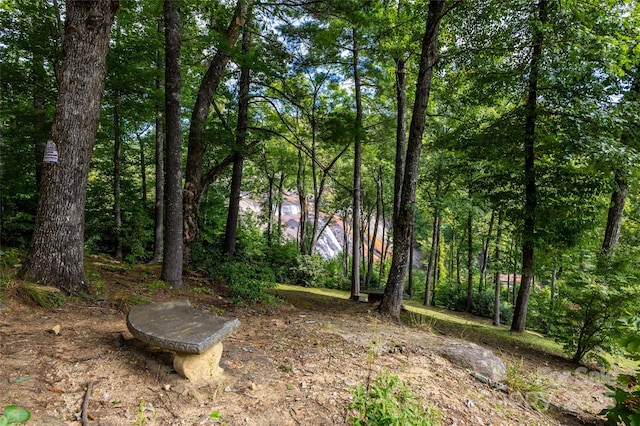 30 Lower Tanglewood Rd E Unit 1, Lake Toxaway, NC 28747 - view of woods