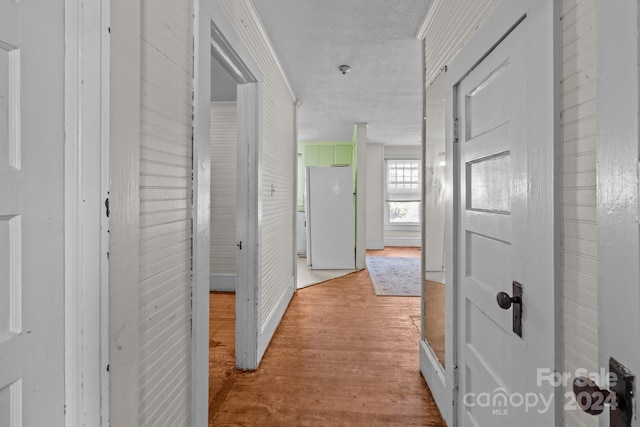 corridor featuring light hardwood / wood-style floors and ornamental molding