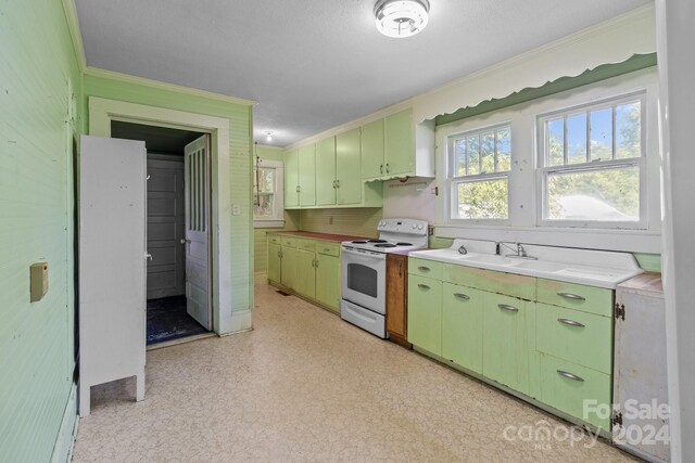 kitchen with white electric stove, sink, ornamental molding, and green cabinets