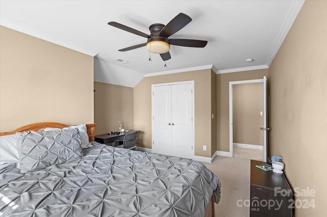 bedroom with crown molding, carpet flooring, ceiling fan, and a closet