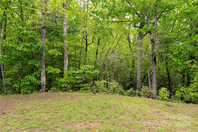 Listing photo 3 for 1111 Elm Tree Ln Unit 48, Swannanoa NC 28778