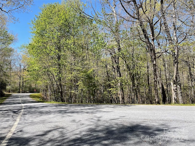 Listing photo 3 for TBD Dudi Ct, Brevard NC 28712