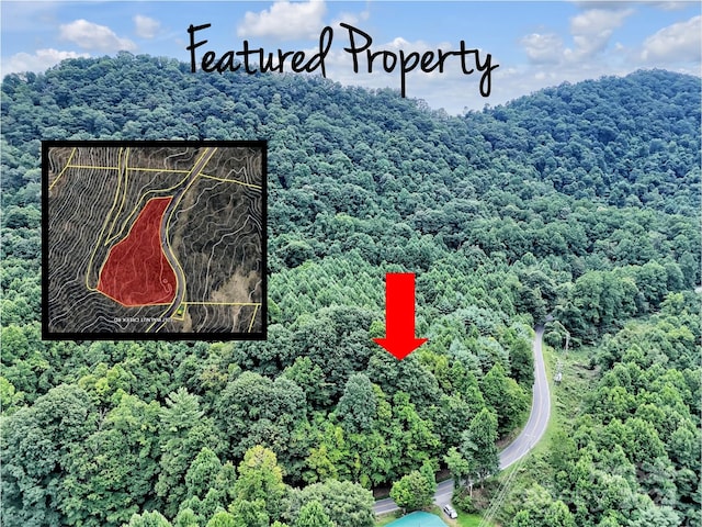 TBD Walnut Creek Rd, Marshall NC, 28753 land for sale